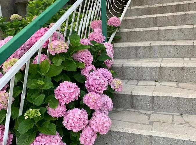 By The Sea - Perna, Peljesac - 4540 Kuciste