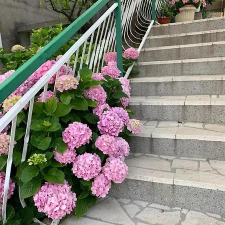 By The Sea - Perna, Peljesac - 4540 كوتشيشته