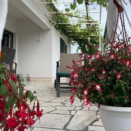 Apartment By The Sea - Perna, Peljesac - 4540 *